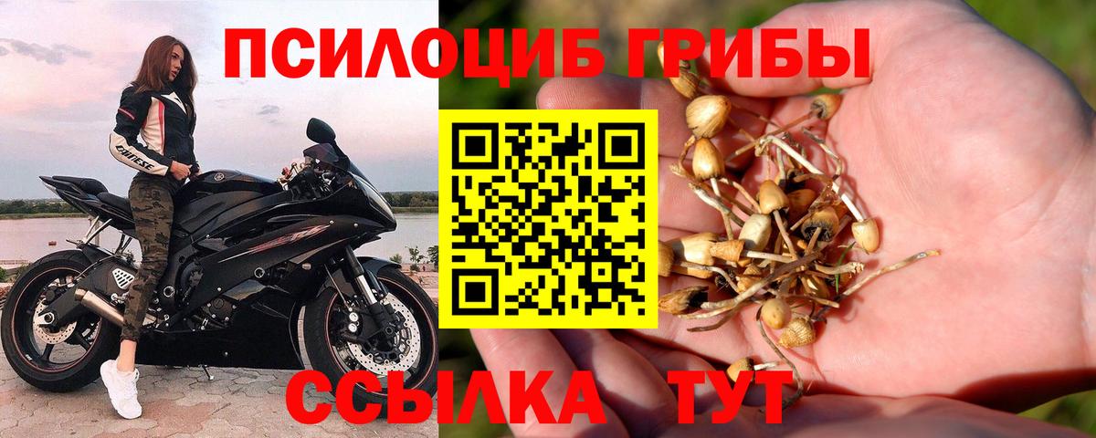 Галлюциногенные грибы прущие грибы  закладки  Амурск  Галлюциногенные грибы Psilocybe  Вход с VPN 